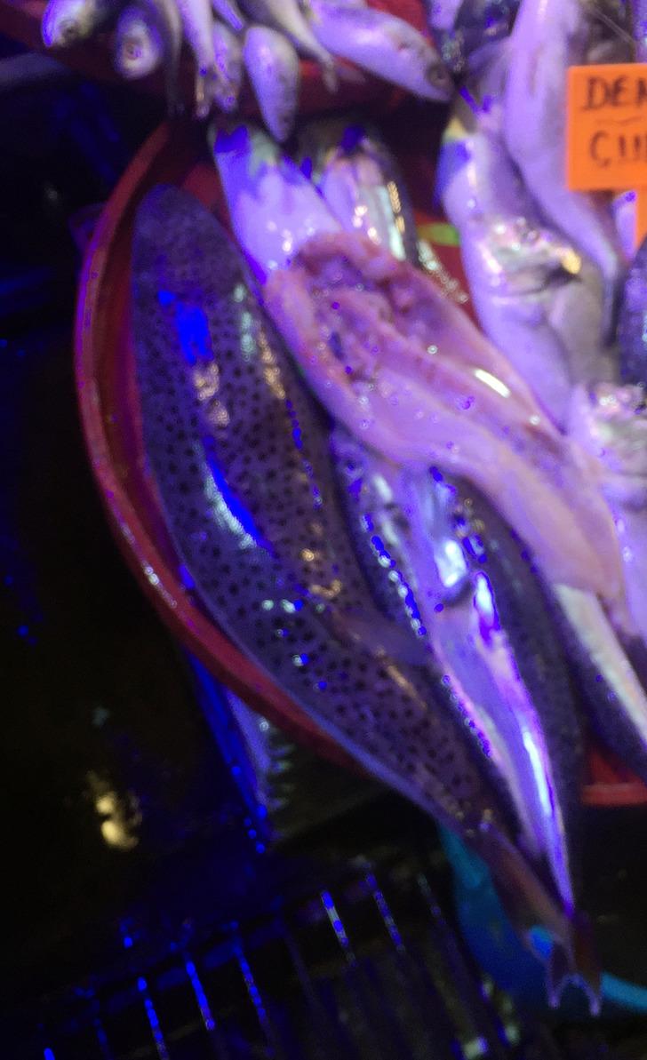 Tezgahında zehirli balon balığı sergiledi G5