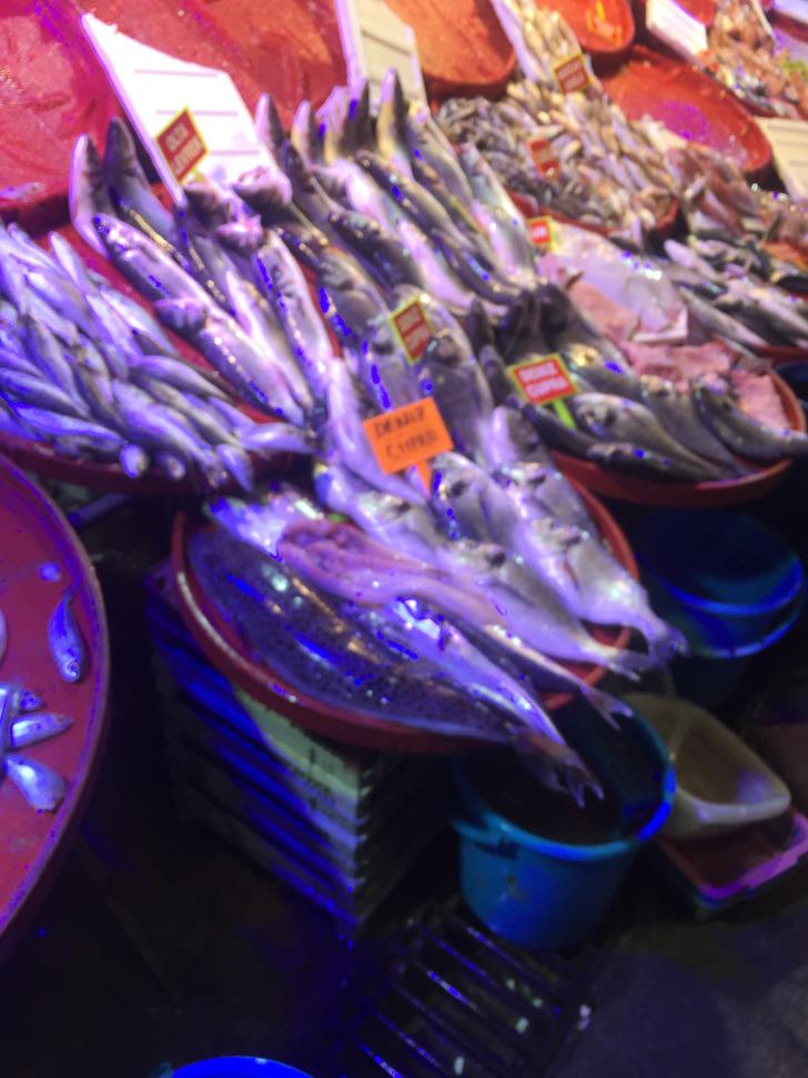 Tezgahında zehirli balon balığı sergiledi G2