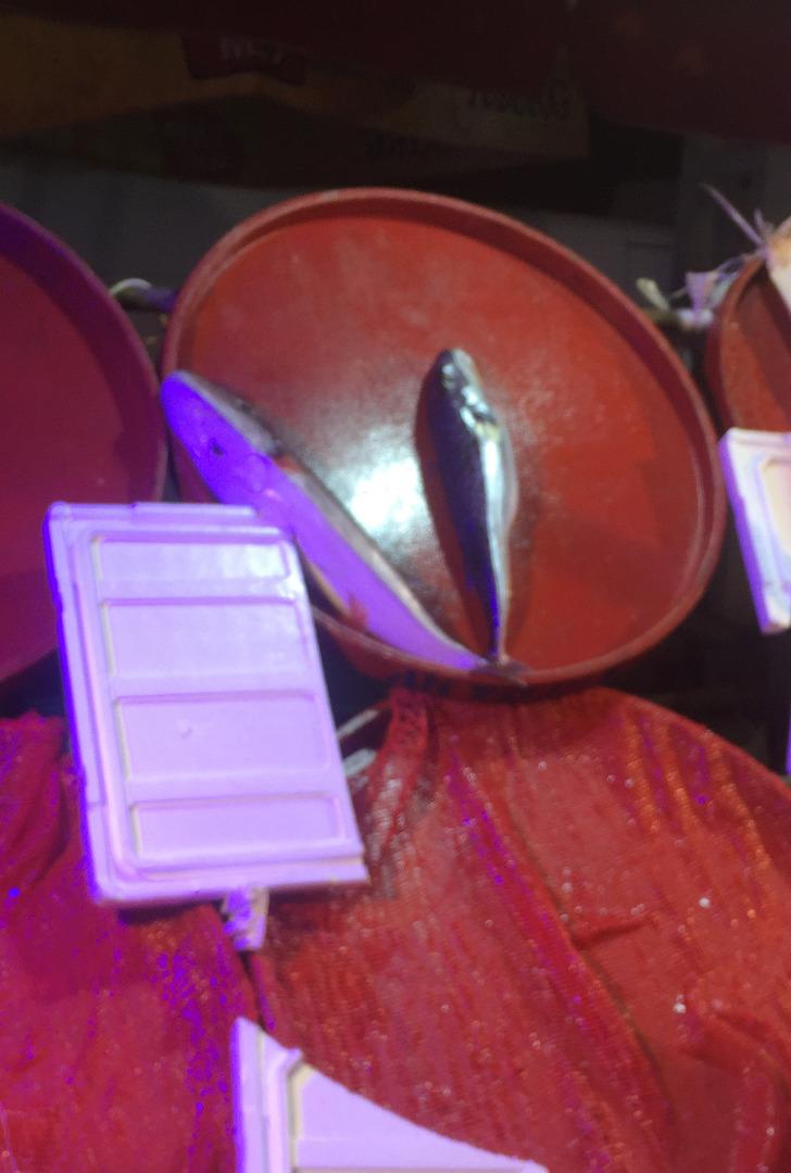 Tezgahında zehirli balon balığı sergiledi G3