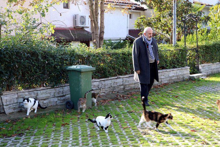 Natalia'nın kedilerini zehirlediler G3