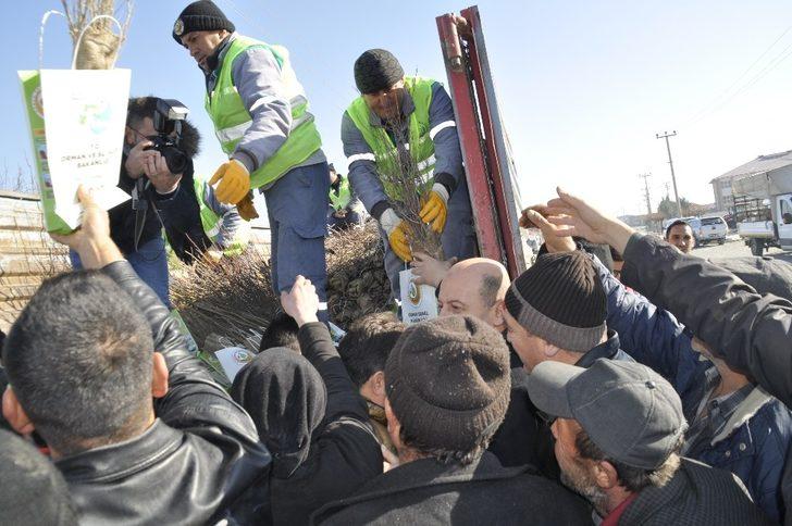 Vatandaşlar fidan alabilmek için yarıştı G2