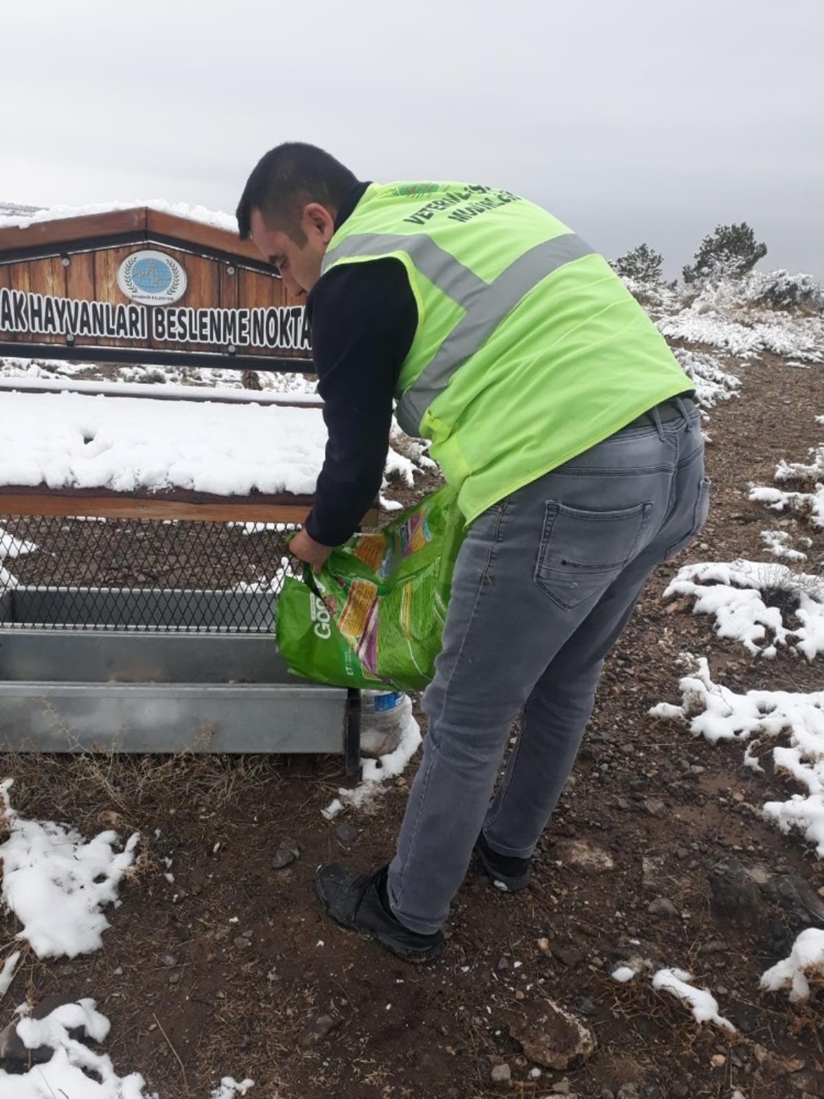 Nevşehir Belediyesi soğuk havalarda sokak hayvanlarını unutmadı