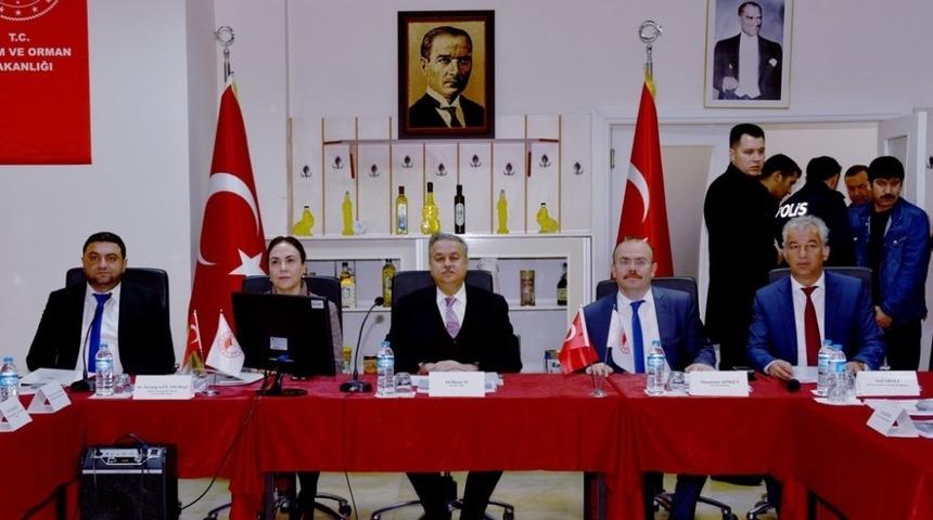 Mut’ta Zeytinyağı Tanıtım Grubu oluşturulacak