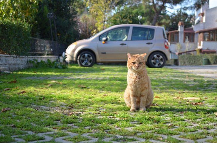 Yaşananları gözyaşına boğularak anlattı! Vicdansızlığın böylesi! G2
