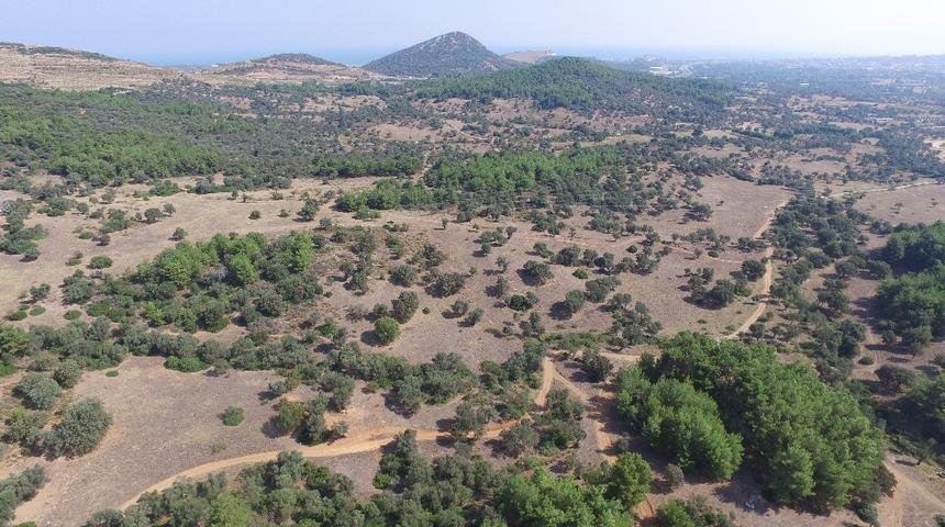 oliVelo i&ccedil;in başvurular başladı