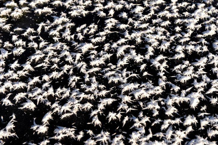 Ardahan'da Aktaş Gölü'nün yüzeyi buz tuttu G3