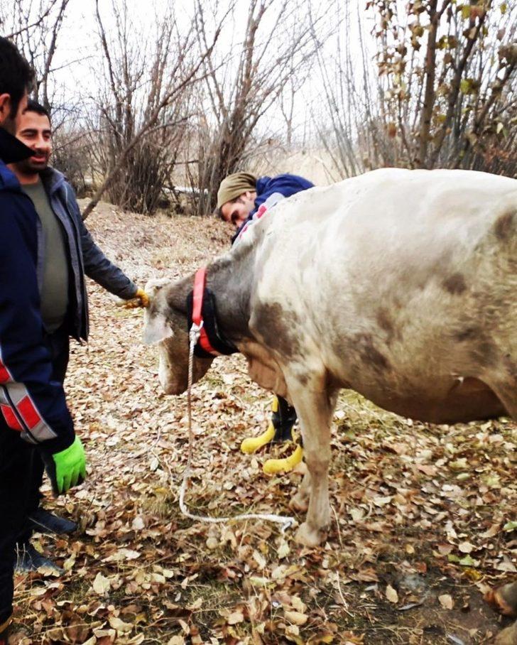 Su dolu kuyuya düşen ineği itfaiye kurtardı G3