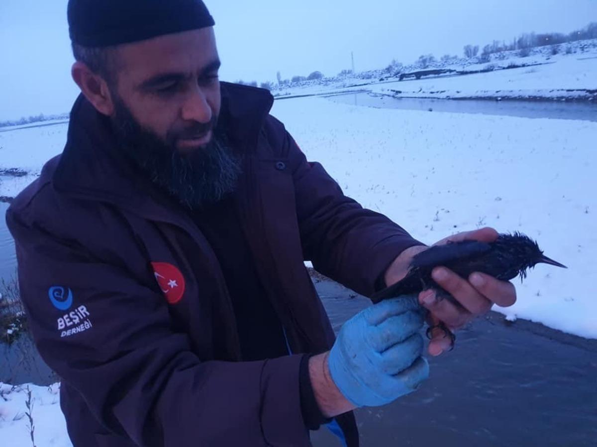 Ağrı&rsquo;da donmak &uuml;zere olan kuşları yardım ekibi kurtardı