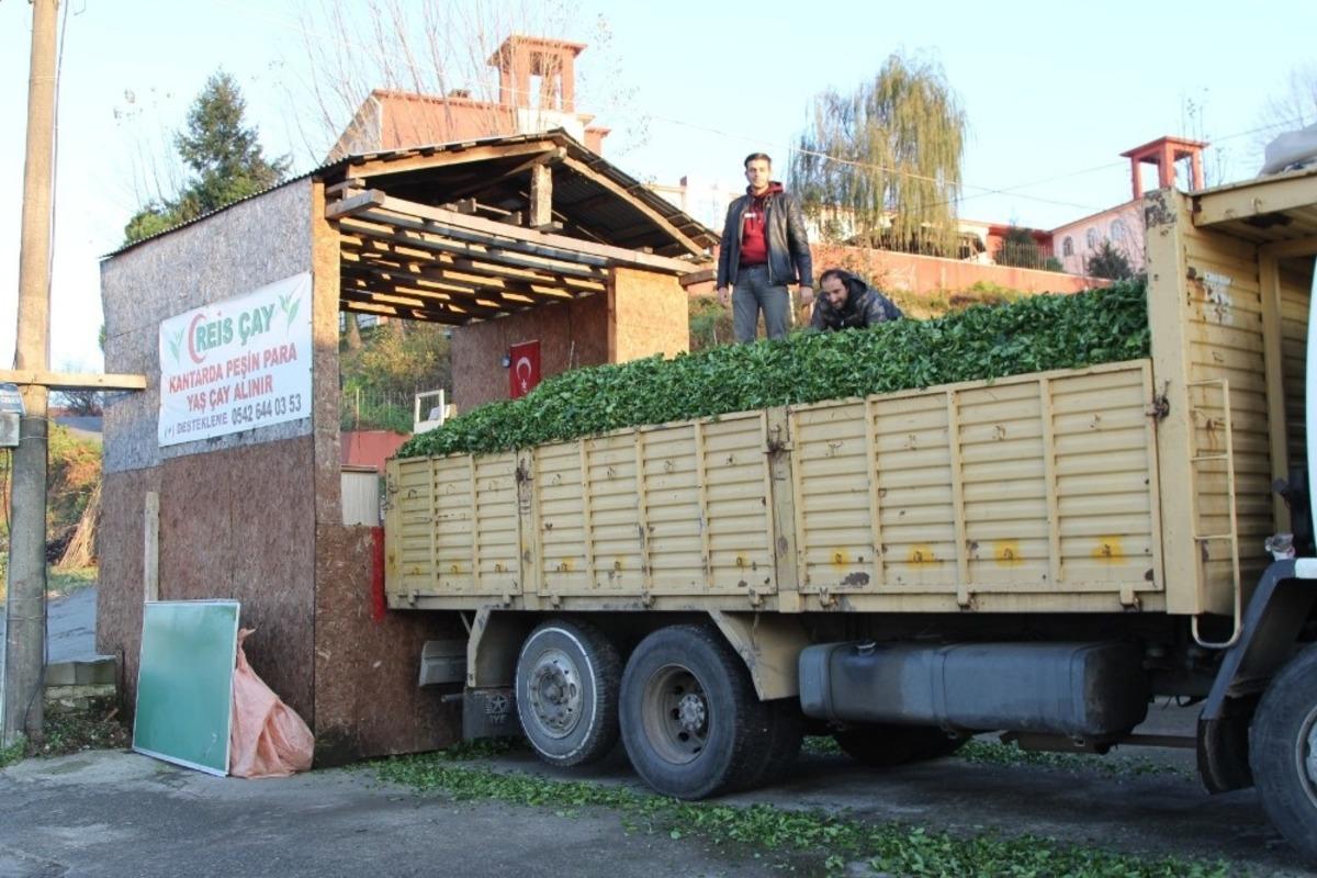 &Ccedil;ayda beklenmeyen s&uuml;rg&uuml;n &uuml;reticiyi g&uuml;ld&uuml;rd&uuml;