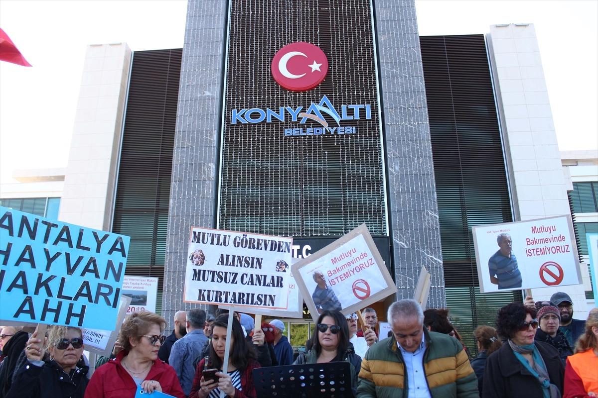 Antalya'da hayvan bakımevindeki k&ouml;peklerin &ouml;ld&uuml;r&uuml;ld&uuml;ğ&uuml; iddia edildi