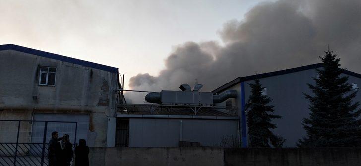 Fındık fabrikasında korkutan yangın! G1