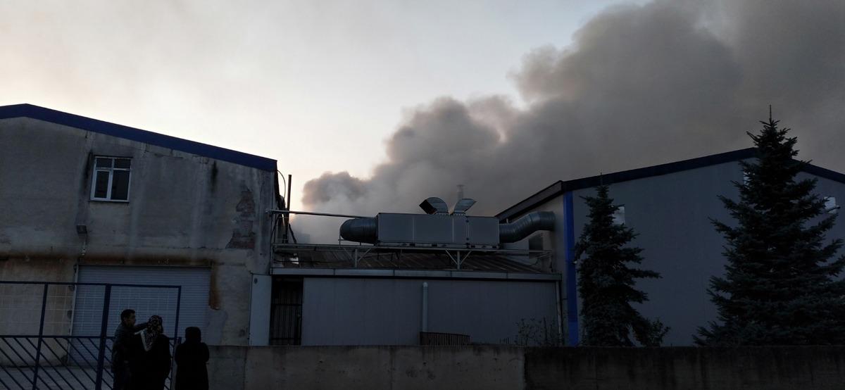 Fındık fabrikasında korkutan yangın!