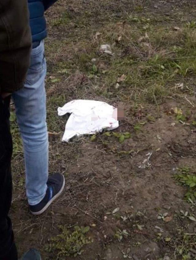 Amat&ouml;r lig ma&ccedil;ında taraftarlar birbirine girdi: 1 yaralı 1