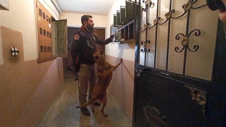 Şafak vakti dev operasyonlar! Koç başıyla uyandılar G2