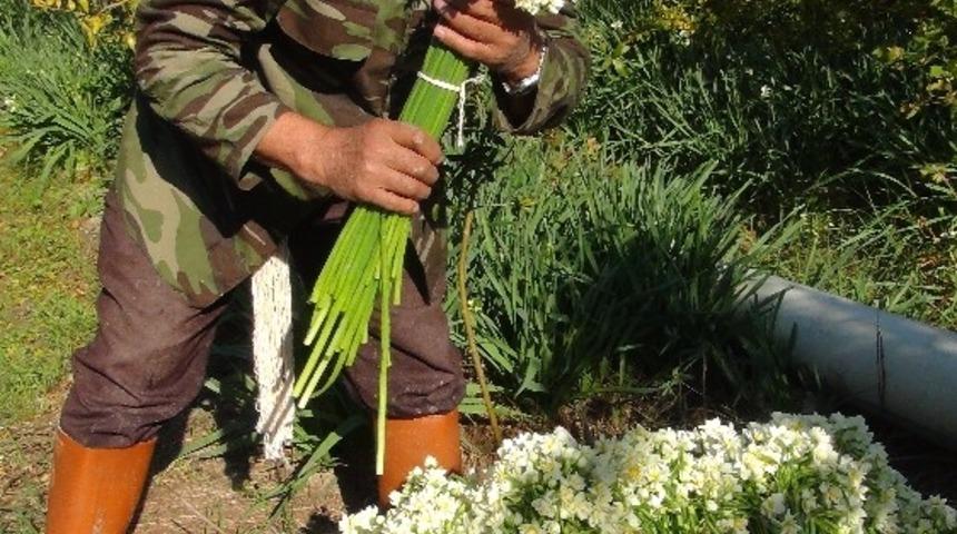 2021 Çiftçiye mazot ve gübre desteği ödeme tarihi: Çiftçiye gübre, mazot, tarımsal destek ödemesi ne zaman hangi tarihte verilecek?