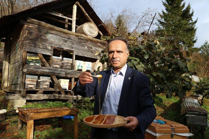 Kestane balı tam bir şifa deposu G1