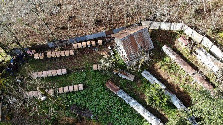 Kestane balı tam bir şifa deposu G2