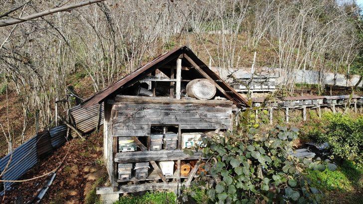 Kestane balı tam bir şifa deposu G3