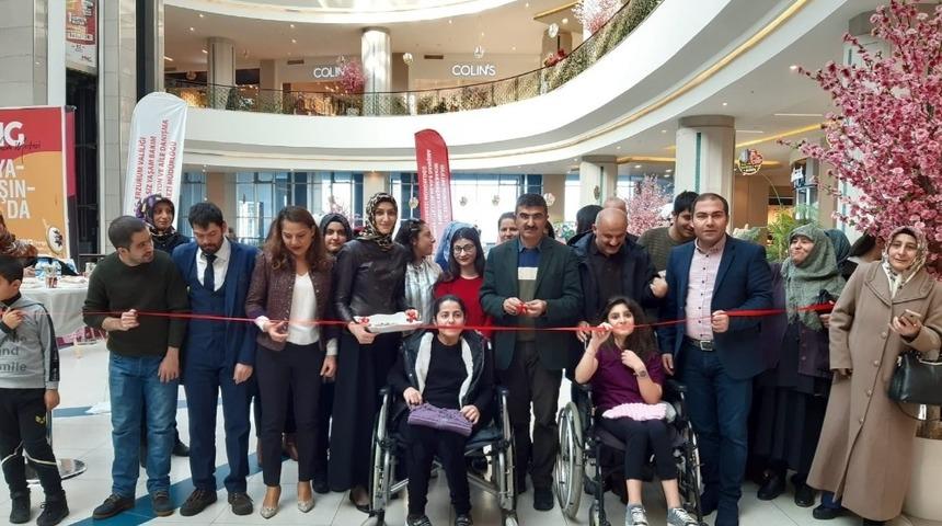 Engelliler h&uuml;nerlerini sergiledi