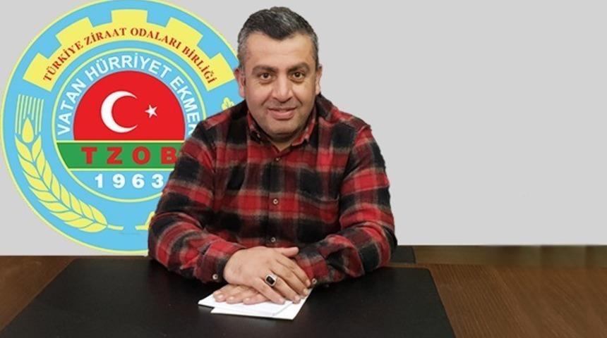 Giresun’un fındık yetişmeyen ilçelerinde ceviz geçim kaynağı oldu