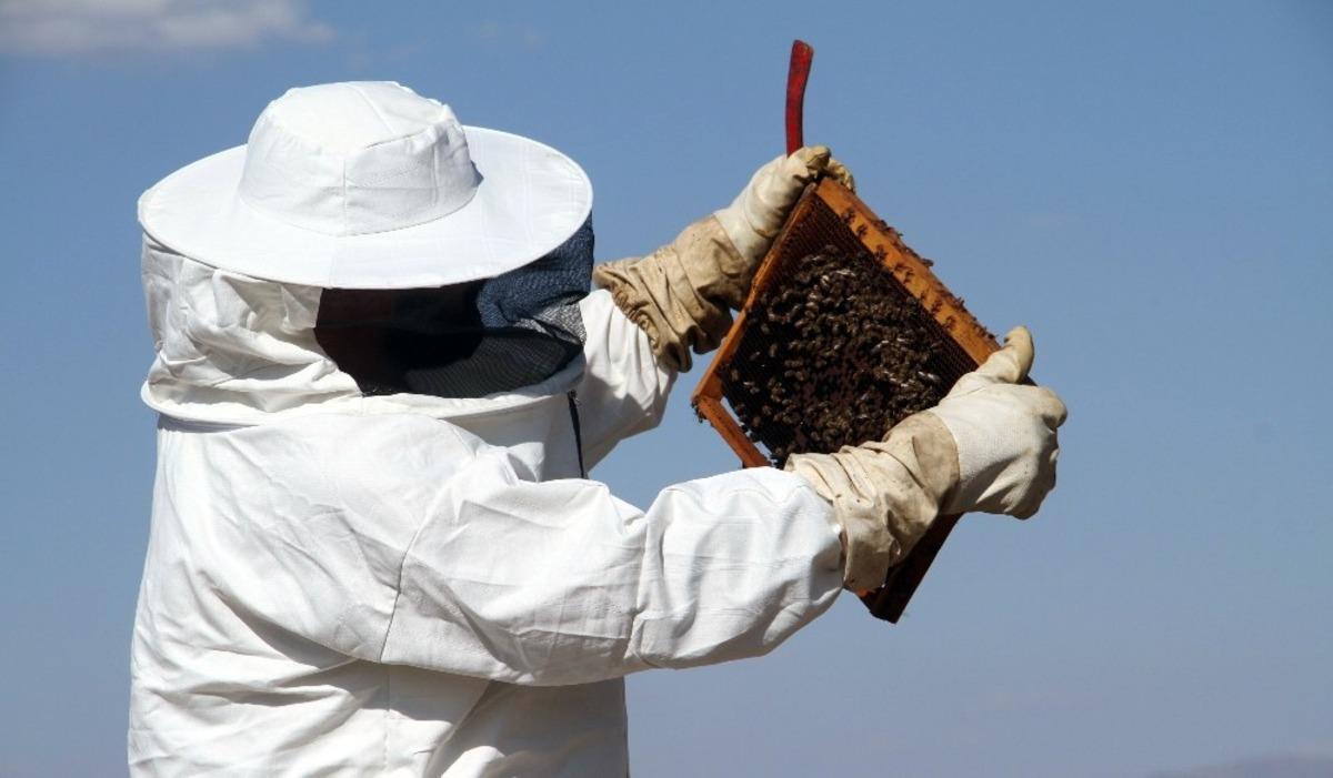 Bayburt&rsquo;ta arıların "tatlı uykusu" başladı