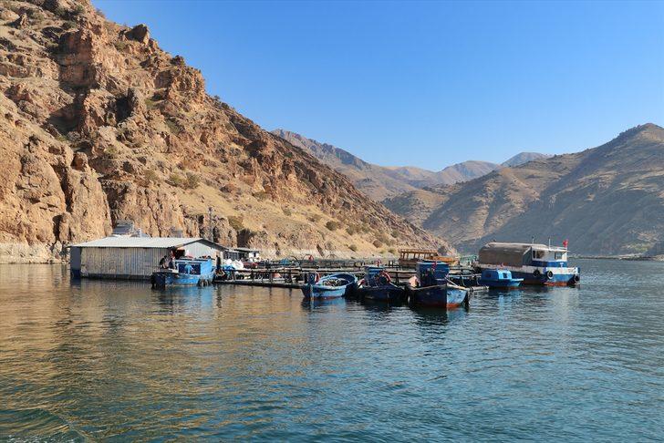 Elazığ'ın somon ve alabalığı Avrupa ve Uzak Doğu ülkelerine ihraç ediliyor G1