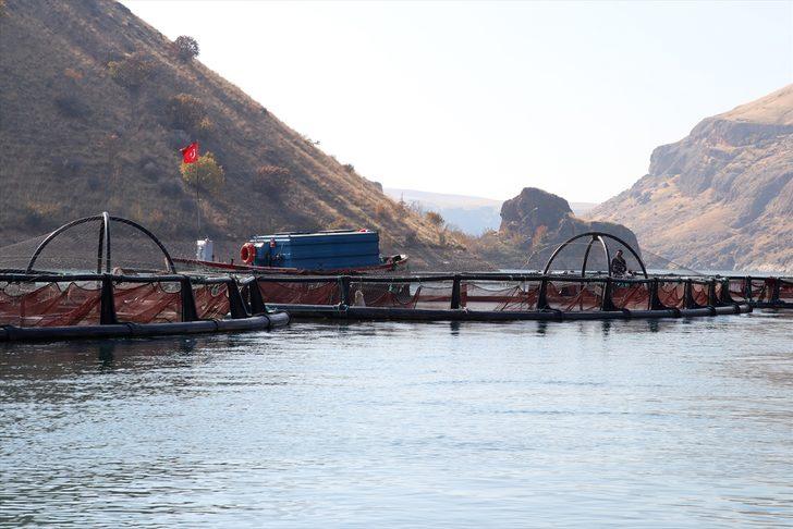 Elazığ'ın somon ve alabalığı Avrupa ve Uzak Doğu ülkelerine ihraç ediliyor G2