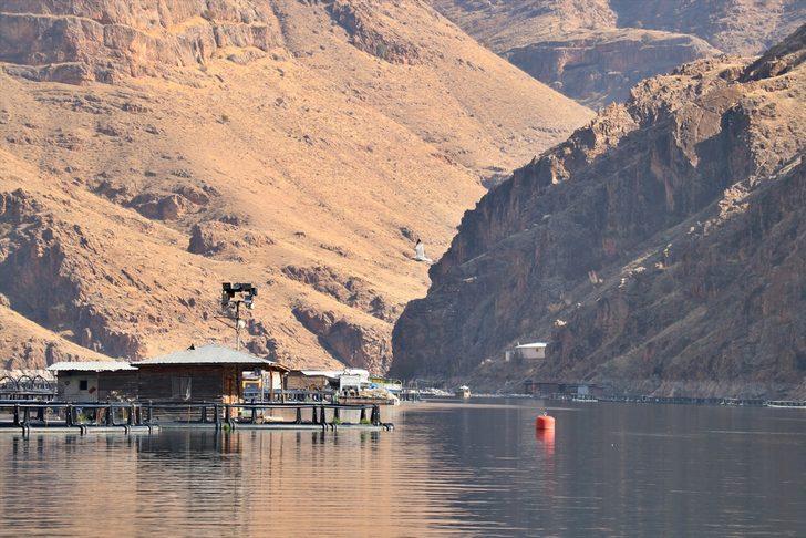 Elazığ'ın somon ve alabalığı Avrupa ve Uzak Doğu ülkelerine ihraç ediliyor G3