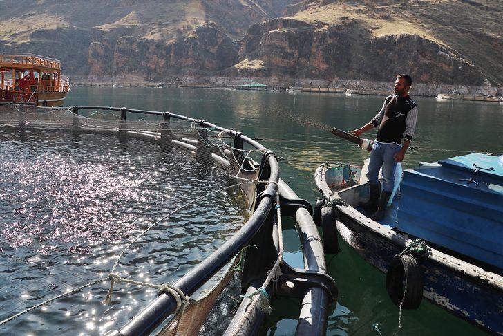Elazığ'ın somon ve alabalığı Avrupa ve Uzak Doğu ülkelerine ihraç ediliyor G4