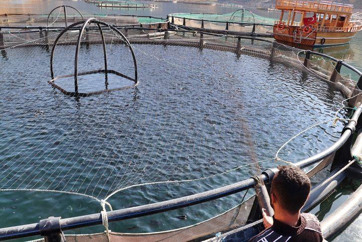 Elazığ'ın somon ve alabalığı Avrupa ve Uzak Doğu ülkelerine ihraç ediliyor G5
