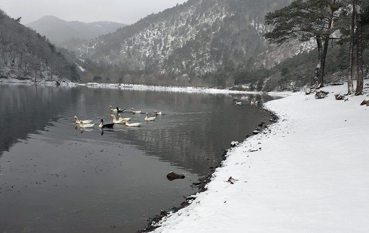 Boraboy bembeyaz! Kartpostalları aratmayan güzellik G5
