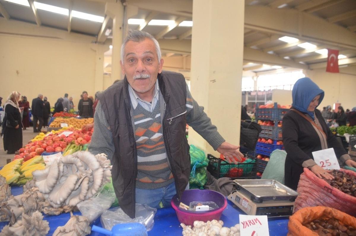 İstiridye mantarına ilgi b&uuml;y&uuml;k