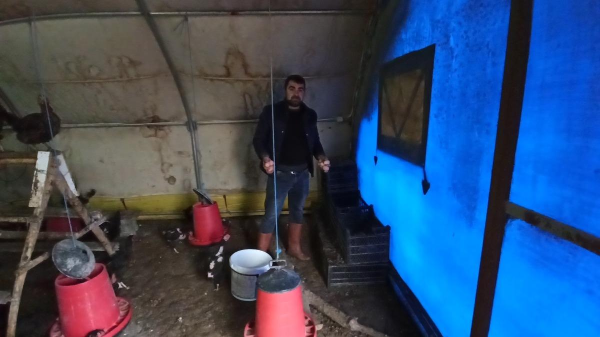  İşsiz kaldı, kendi imkanları ile tavuk &ccedil;iftliği kurdu