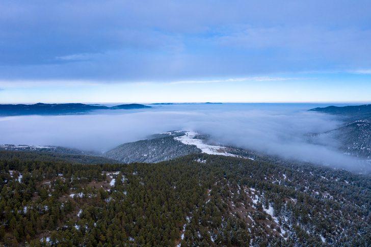 Yeşil ve beyazın eşsiz buluşması! Hayran kalacaksınız G1