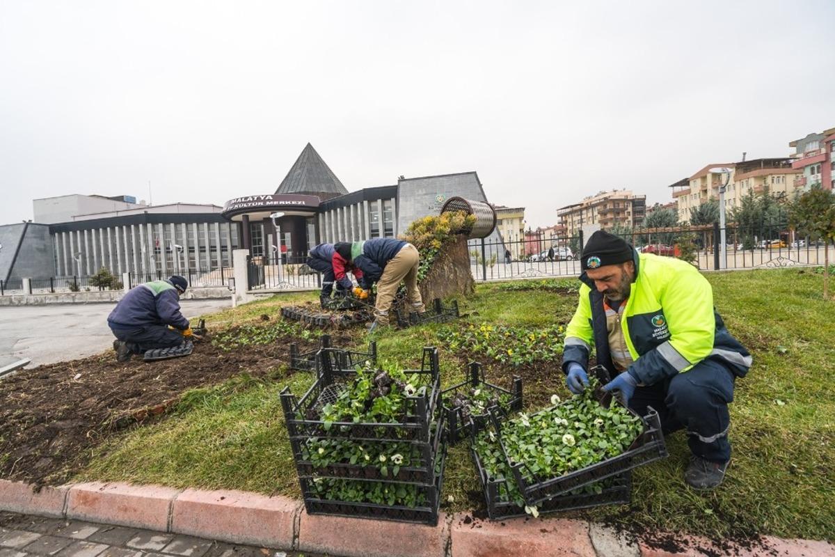 Malatya&rsquo;da &ccedil;i&ccedil;ek dikim &ccedil;alışmalarına başlandı