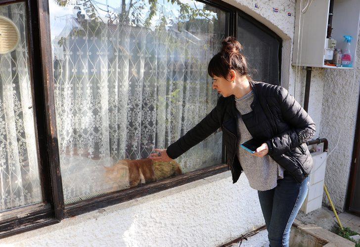 Rus Natalia'nın kedilerinin zehirlenmesine polis soruşturması G2