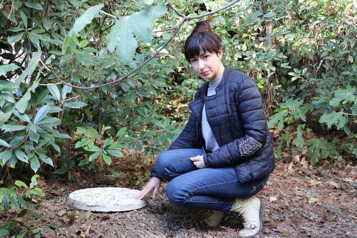 Rus Natalia'nın kedilerinin zehirlenmesine polis soruşturması G5