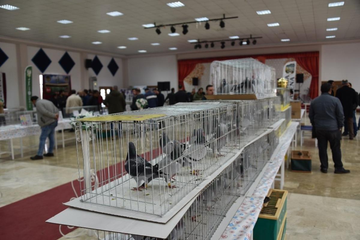 G&uuml;vercin severleri buluşturan fuar