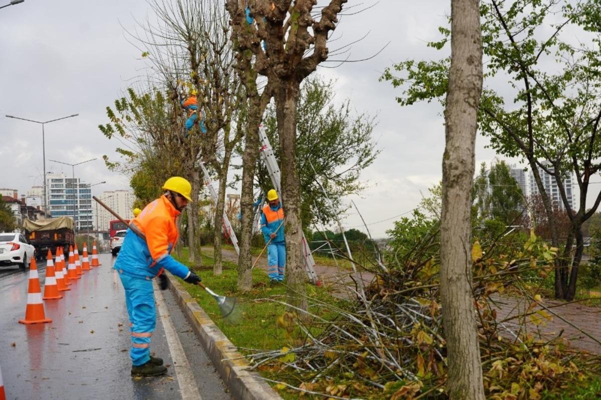 Bitkiler kış i&ccedil;in koruma altına alınıyor