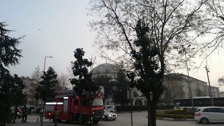Ağaçta mahsur kalan yavru kedi için itfaiye ve polis seferber oldu G2