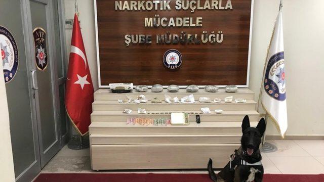 Kömürlükte gizlenen uyuşturucu maddeyi Zeus buldu