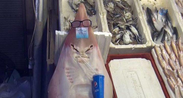 Adana'da balıkçıların kabusu olan sapan balığı için önemli uyarı G1