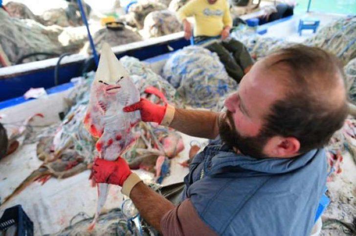 Adana'da balıkçıların kabusu olan sapan balığı için önemli uyarı G5