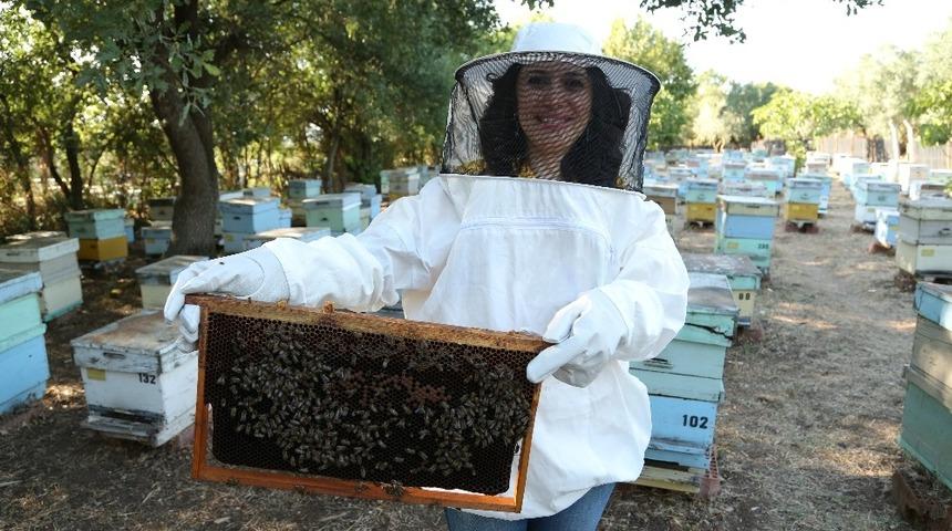 &Ccedil;ocukların gelişiminde arı s&uuml;t&uuml;n&uuml;n  etkisi