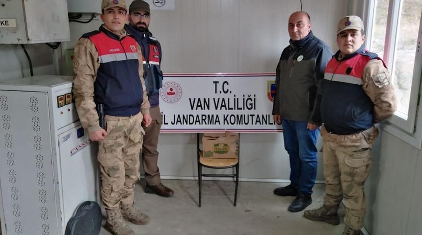 Gevaş&rsquo;ta ka&ccedil;ak avlanmış 2 Sincap ele ge&ccedil;irildi