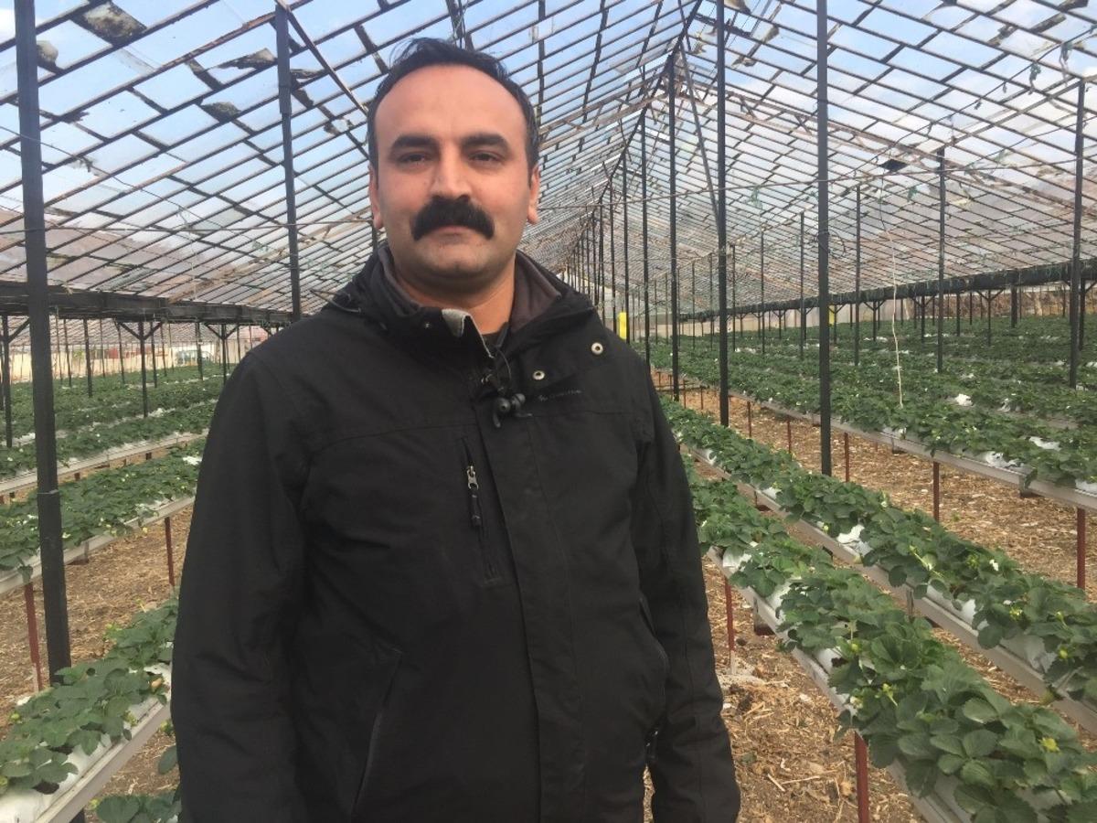 Hatay&rsquo;da topraksız tarım başladı