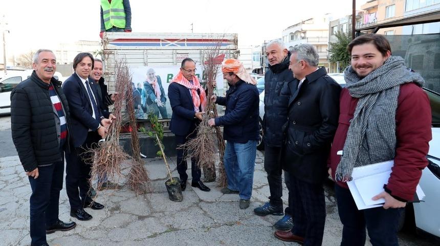 Urlalı &uuml;reticiye bin 110 adet meyve fidanı