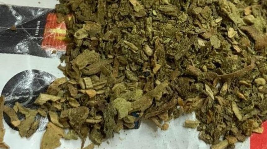 Ordu&rsquo;da uyuşturucu denetimleri