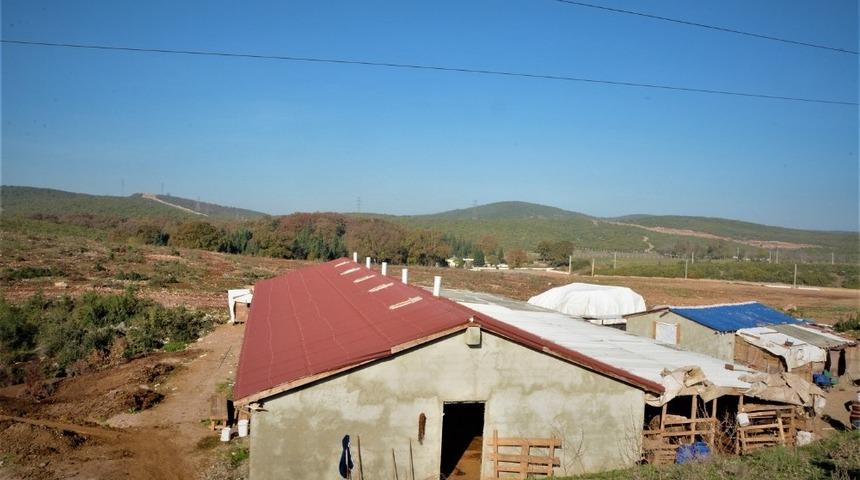 K&ouml;rfez&rsquo;de ka&ccedil;ak ahır yıkıldı