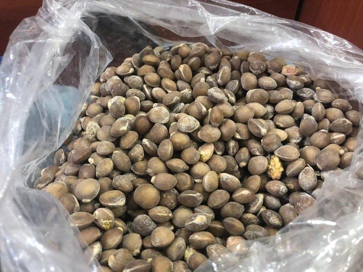 Siirt bıttımı altın fiyatını geçti G2